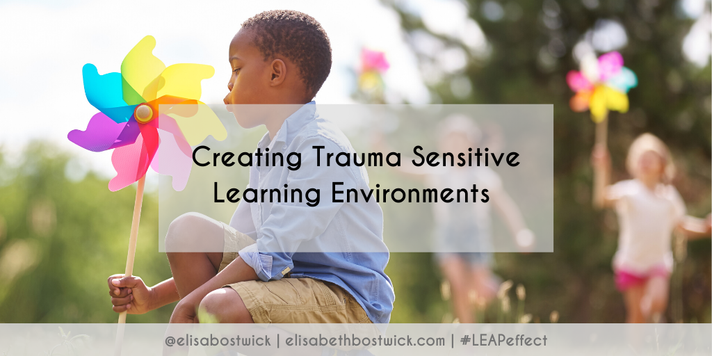 Creating Trauma Sensitive Learning Environments