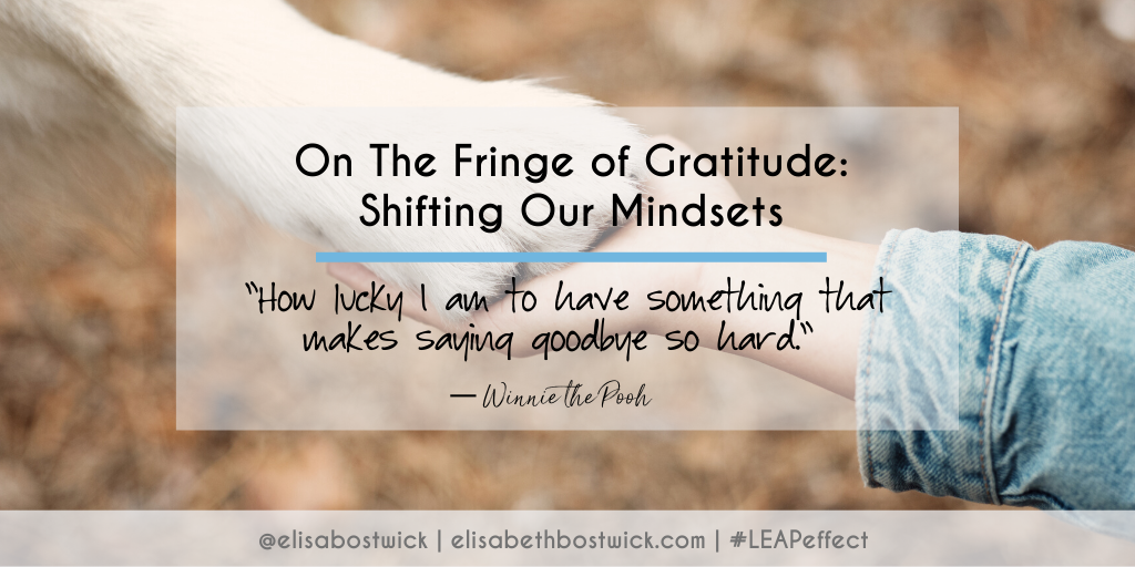 On the Fringe of Gratitude: Shifting Mindsets