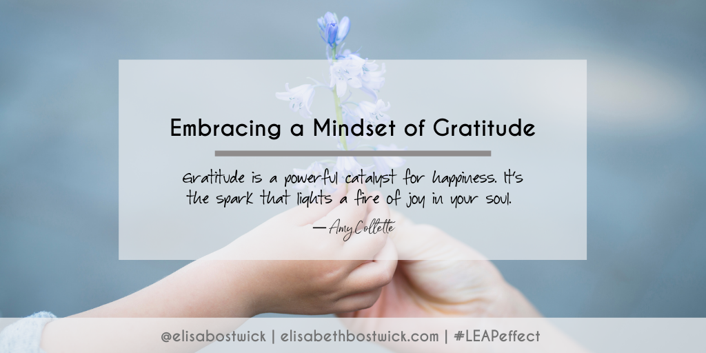 Embracing a Mindset of Gratitude